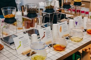 Long table setup displaying various cocktail samples and tasting notes on white tiles.