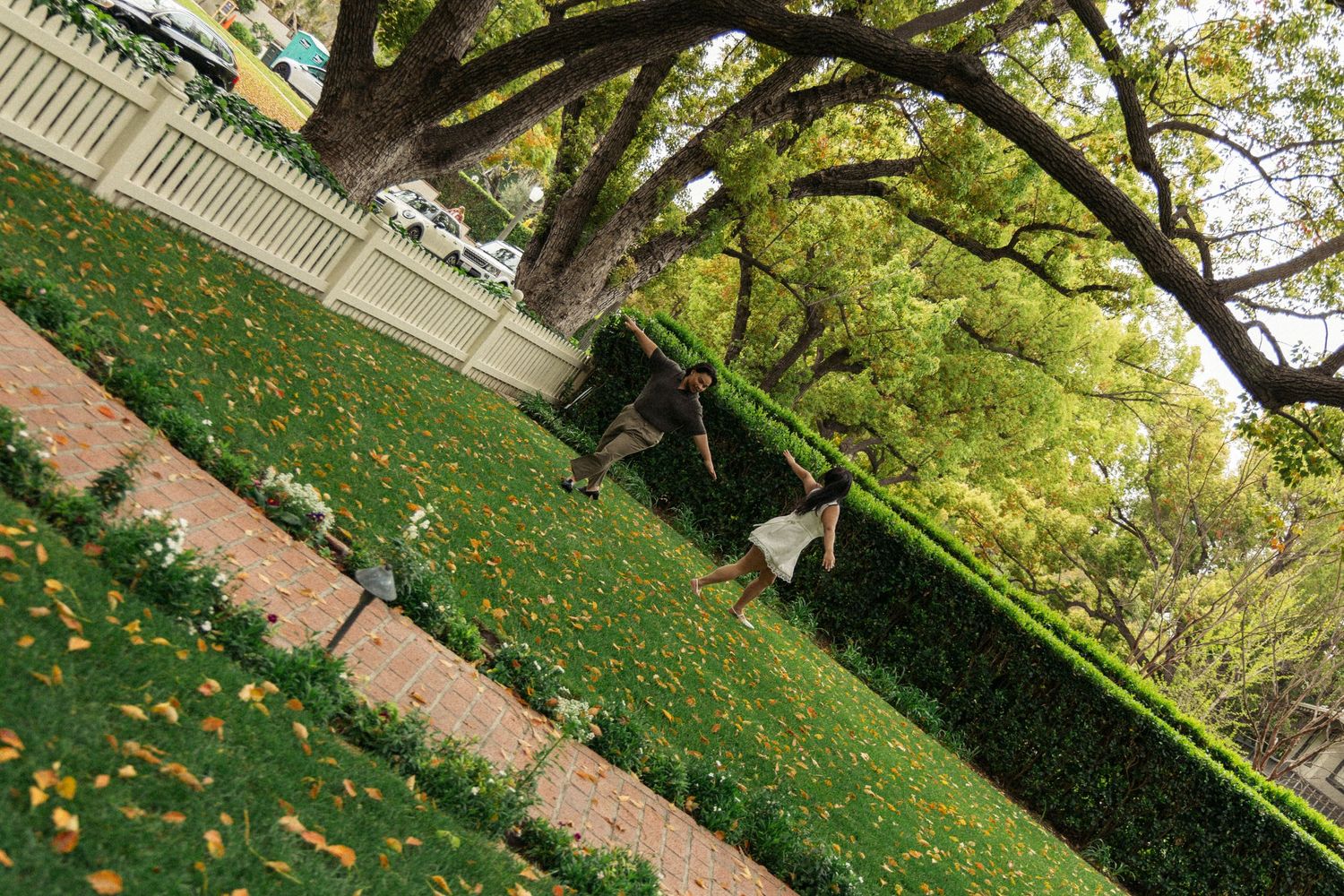 Tree-lined walkway leading to a white colonial house with fallen leaves on the grass.