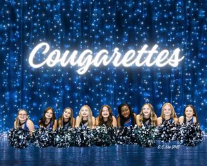 Cheerleading team performs synchronized dance moves against a dark blue background with glittering lights.