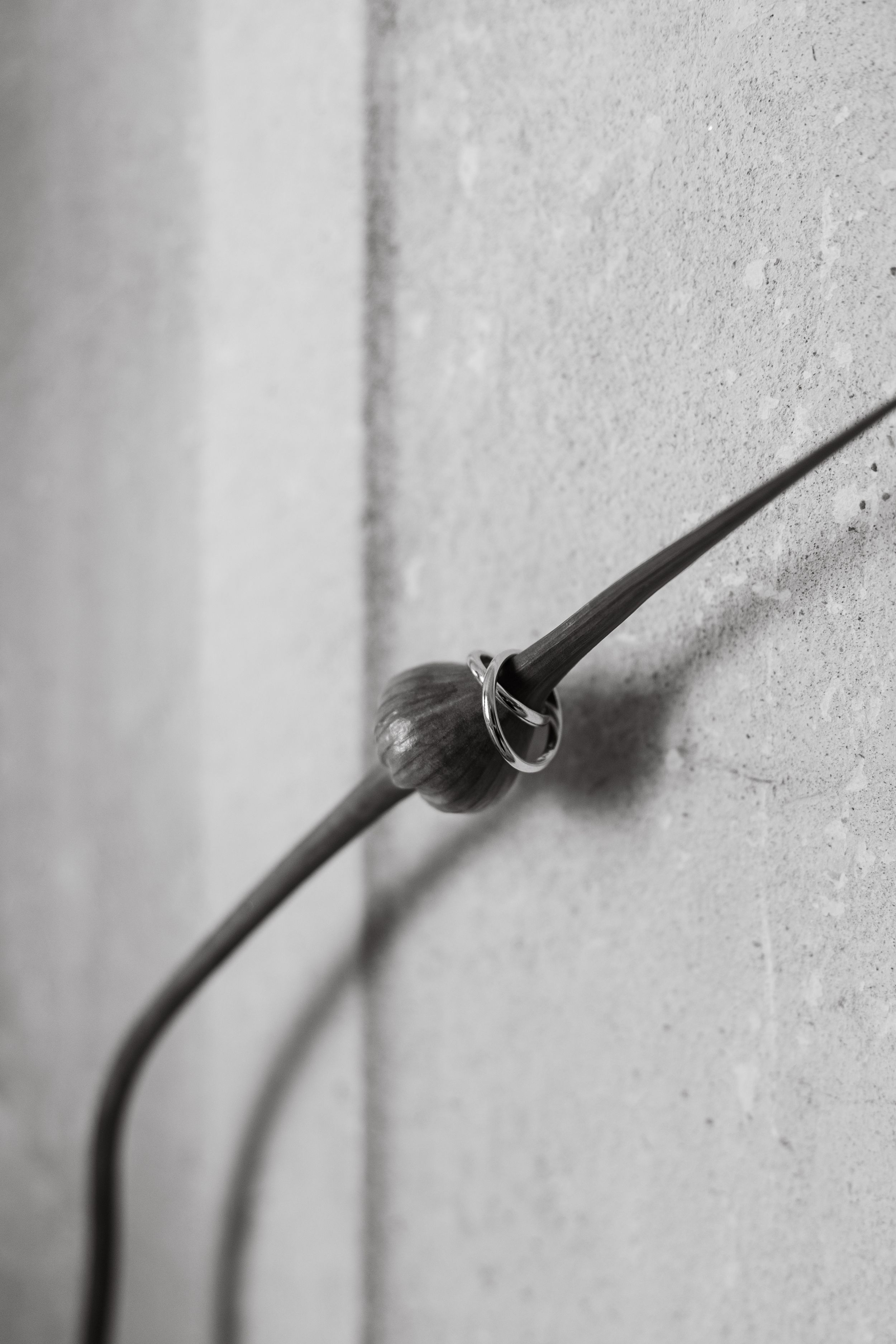 A sequence showing a flower bud gradually blooming and opening in black and white against a light wall.
