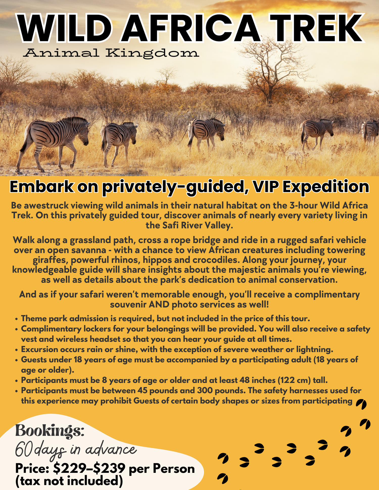 African safari tour advertisement showing zebras in their natural grassland habitat.