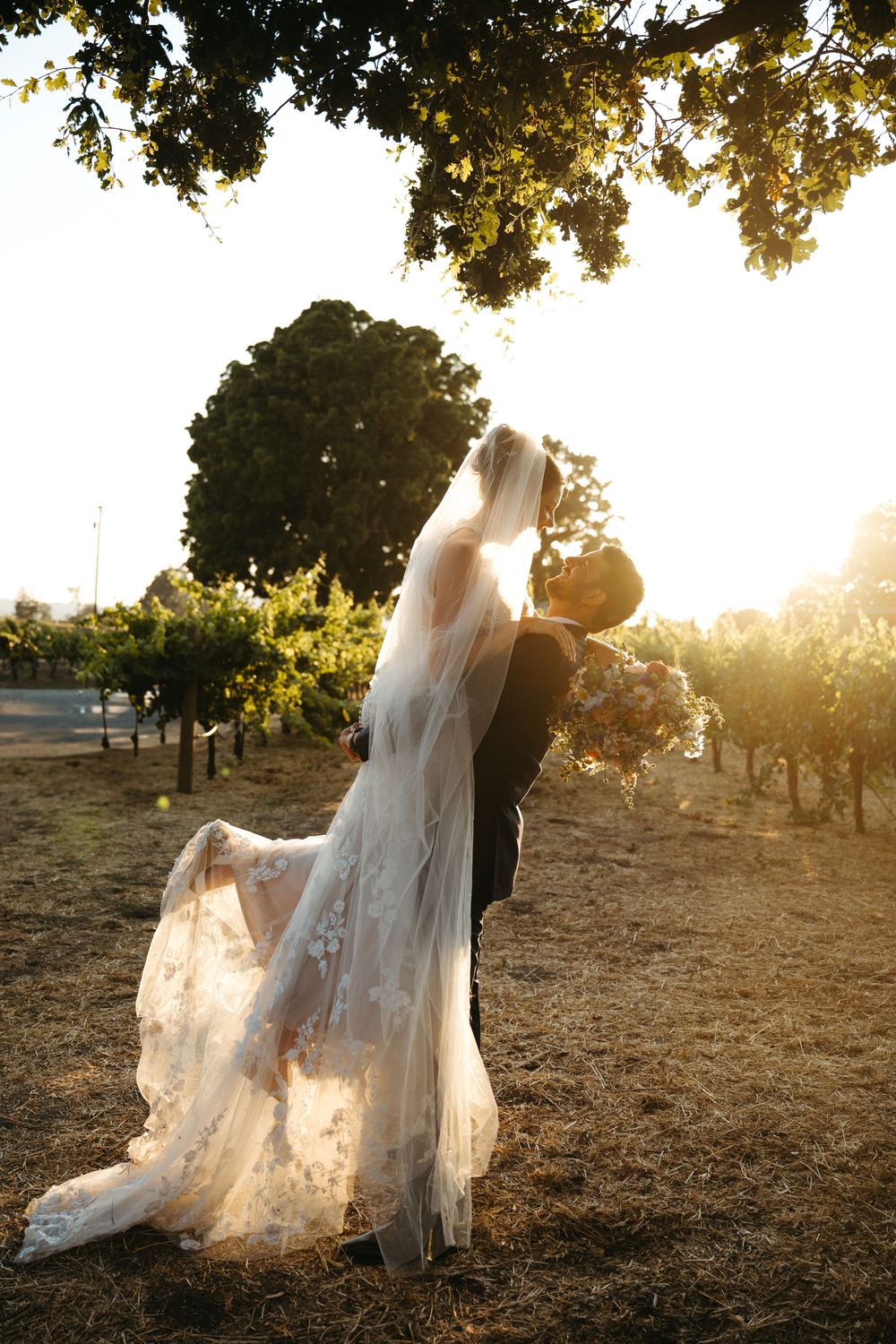 A romantic moment at sunset in a vineyard as a long lace wedding dress flows in the golden light in Healdsburg, CA