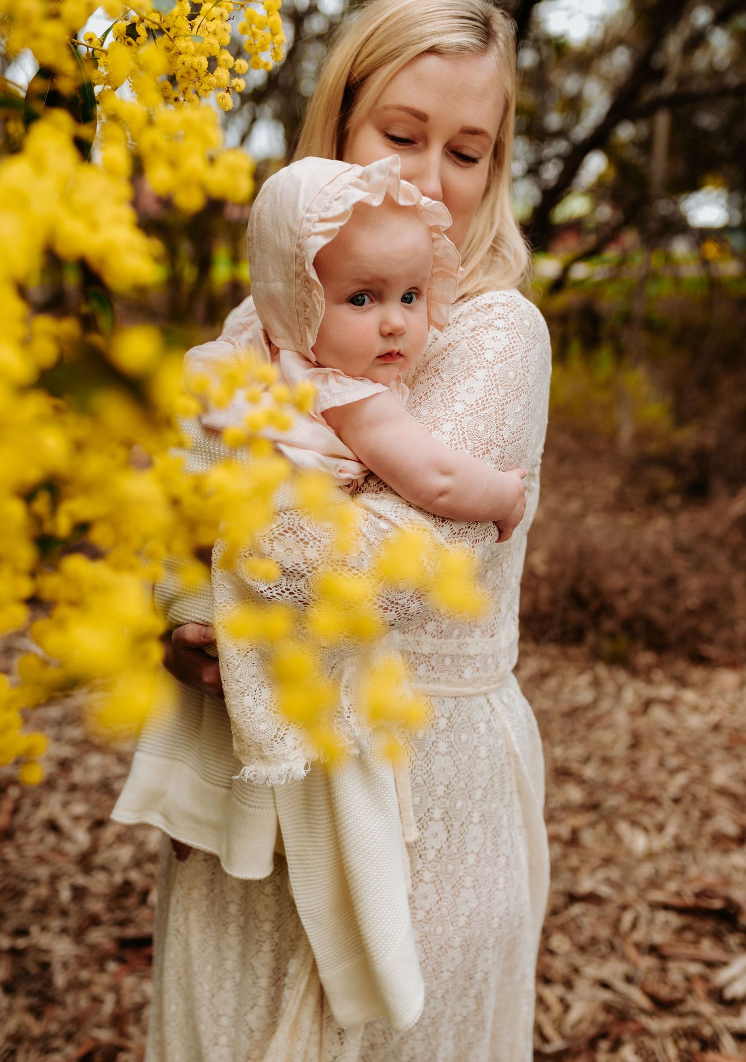 Tender embrace captured among blooming yellow forsythia branches.