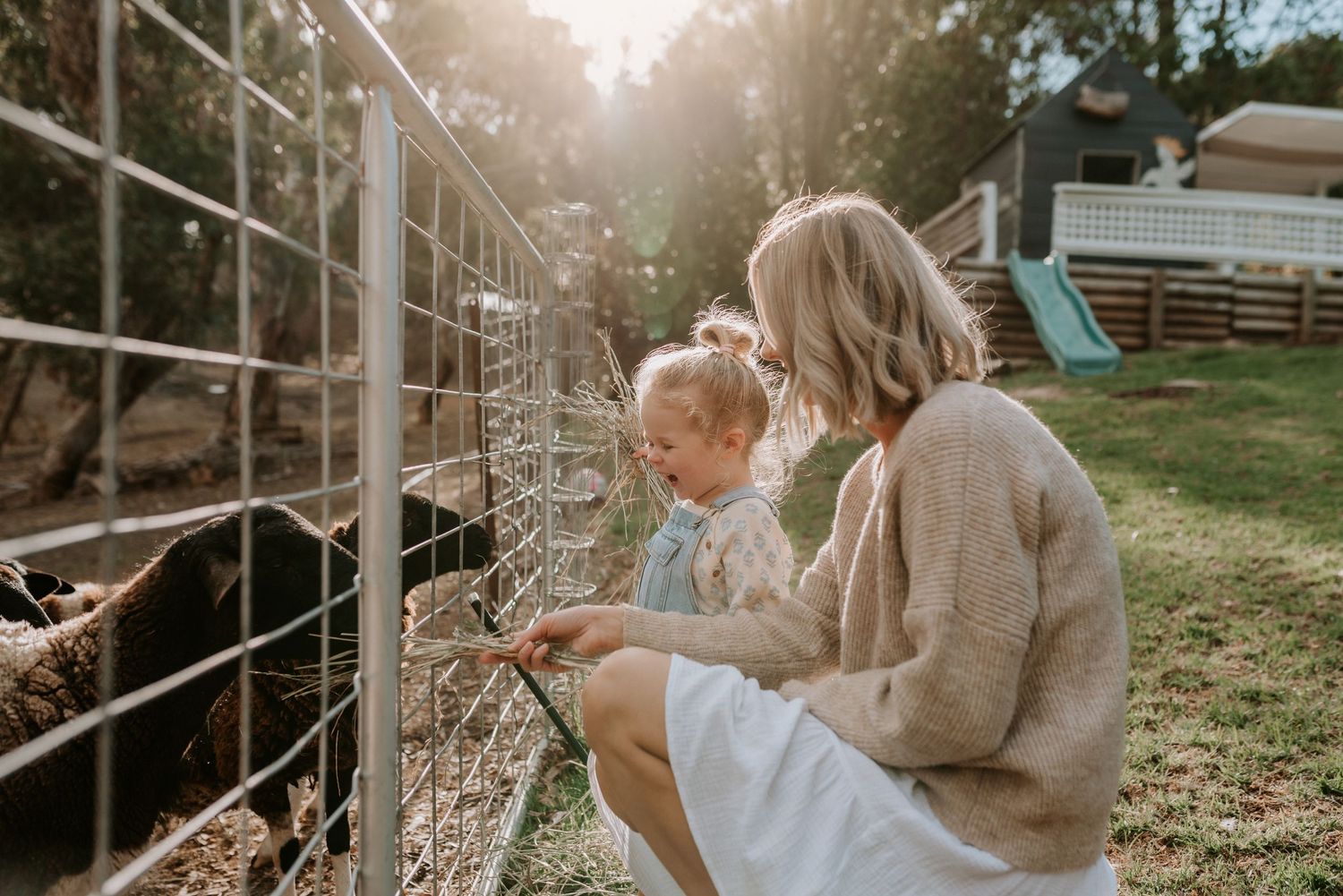 Playful interactions near an outdoor swing set during golden hour.