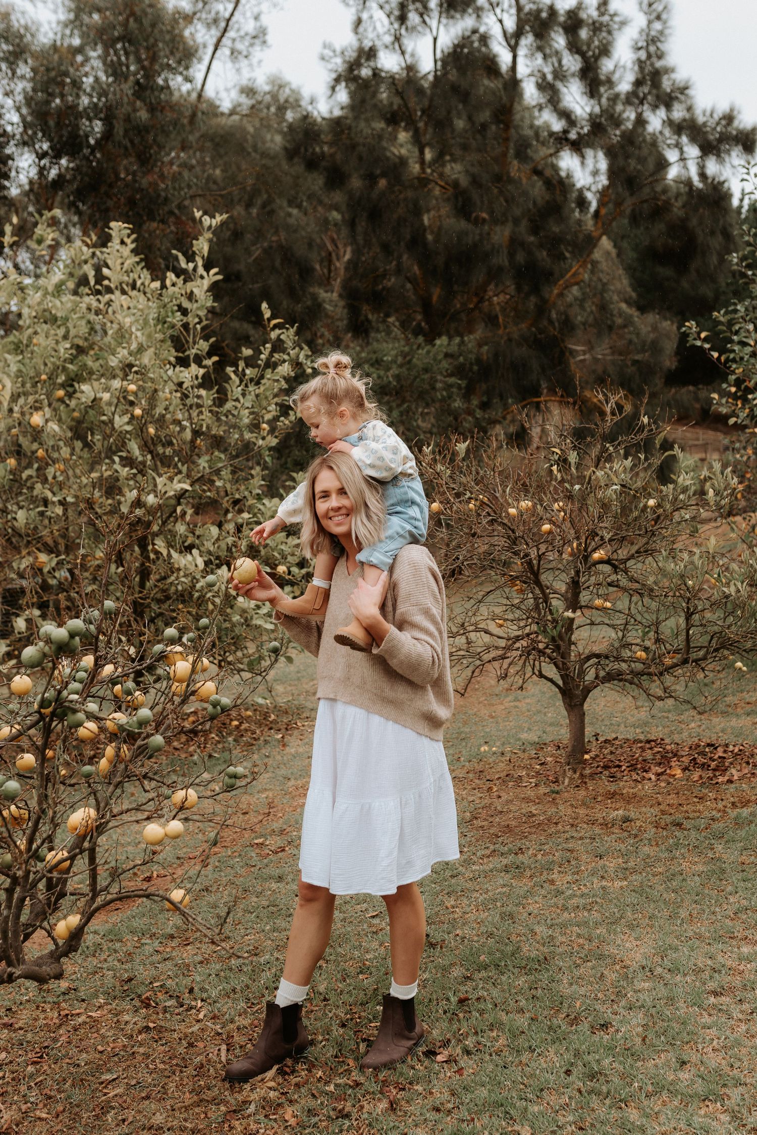 A charming scene in an orchard with fruit trees and someone exploring among the branches.