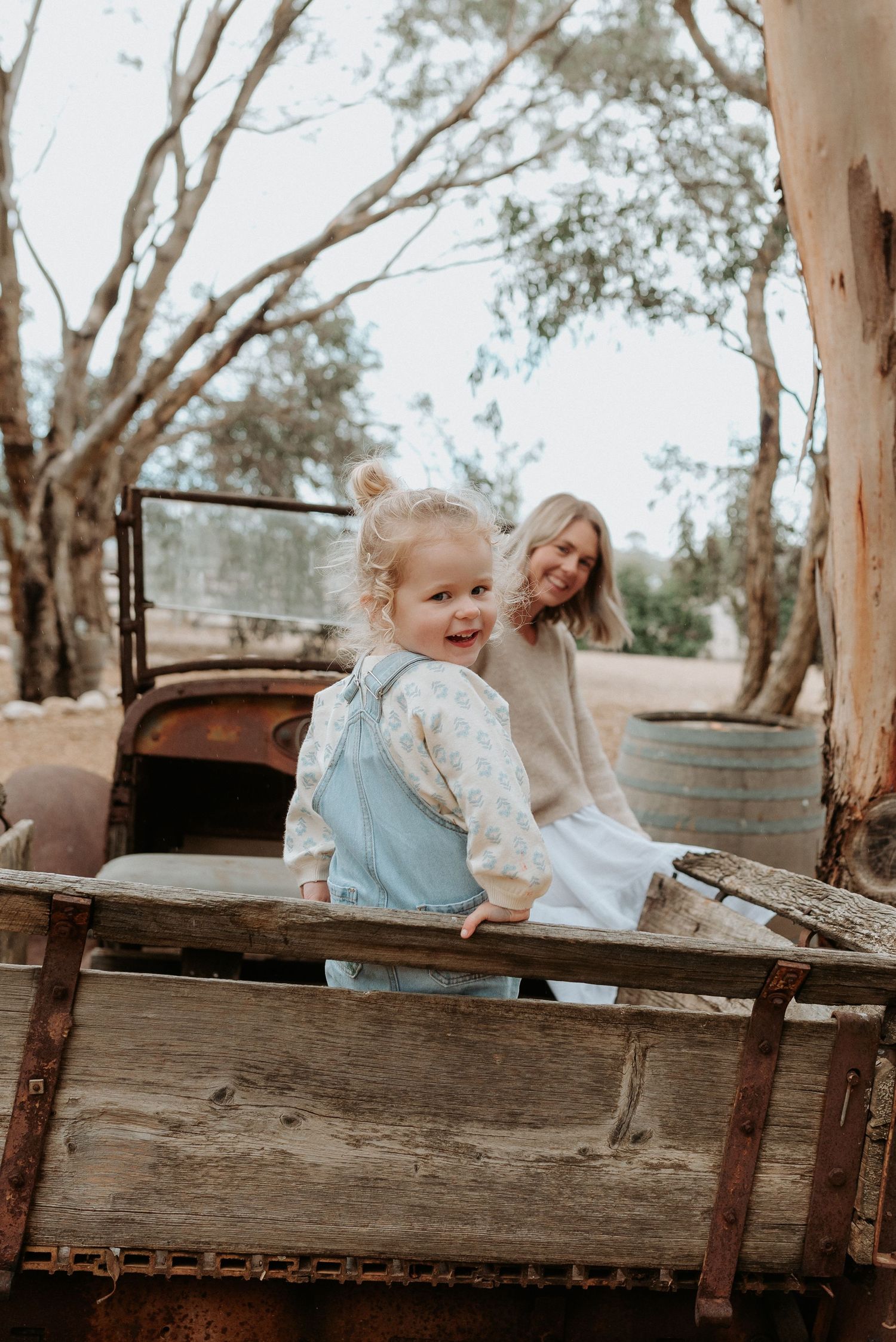 A rustic wooden bench in an outdoor setting surrounded by eucalyptus trees.