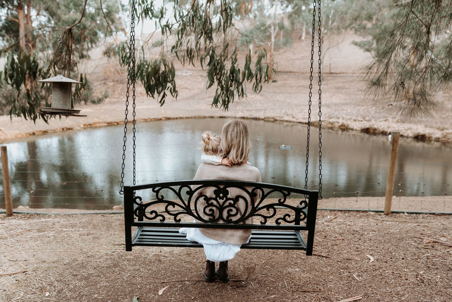 A row of swings hanging from trees in a peaceful outdoor setting at sunset.