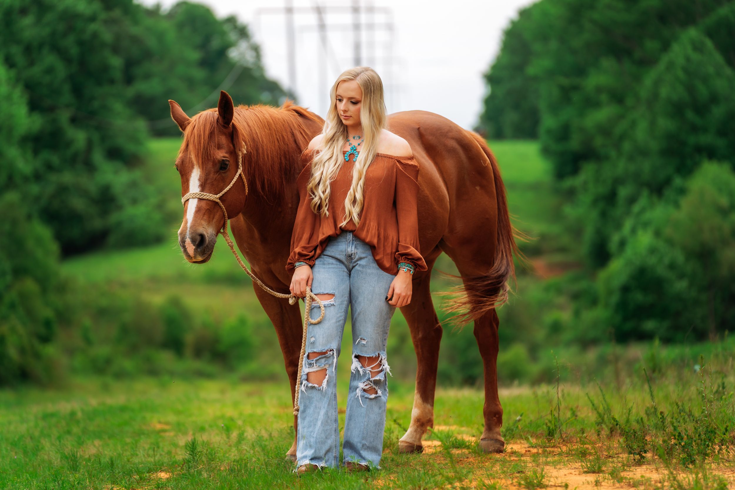 A brown horse stands next to someone wearing ripped jeans in a lush green field with power lines visible in background.