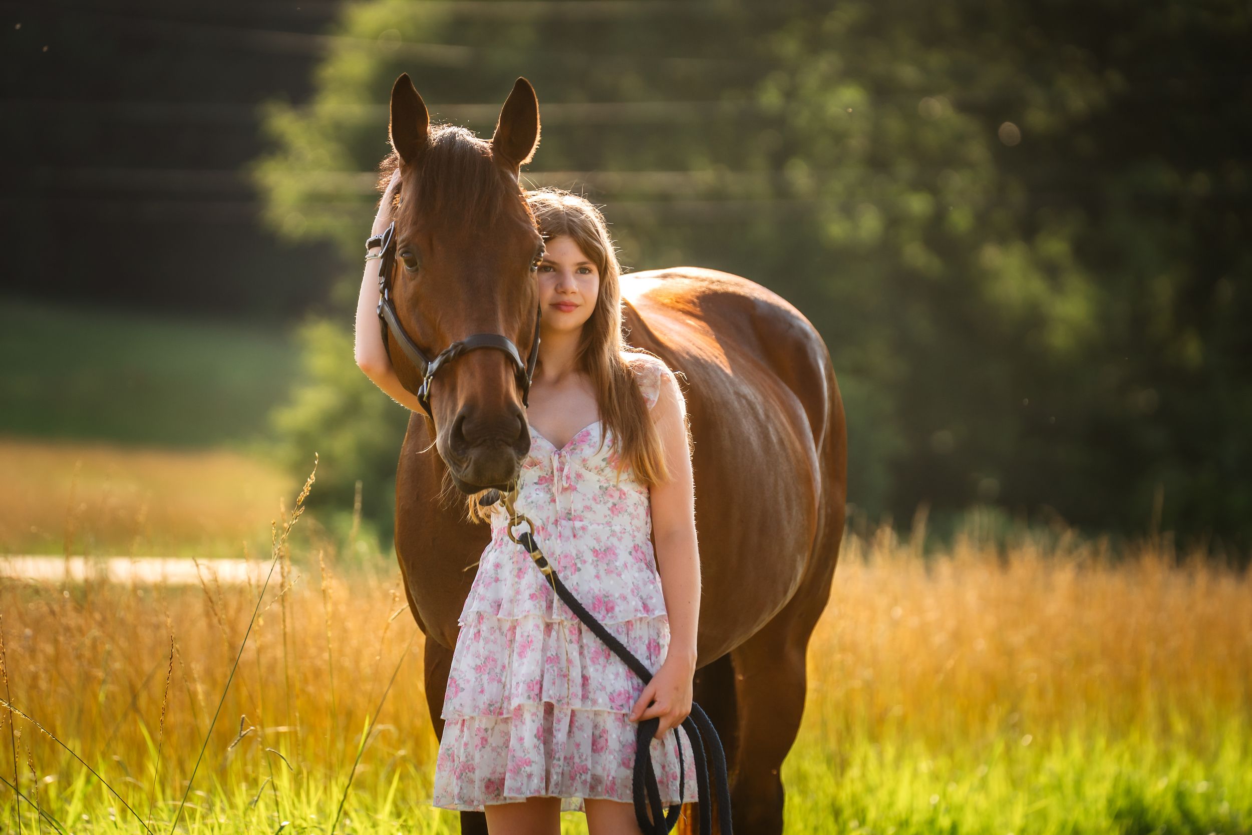 A brown horse stands in a sunlit meadow with a young woman in a floral dress holding its reins.