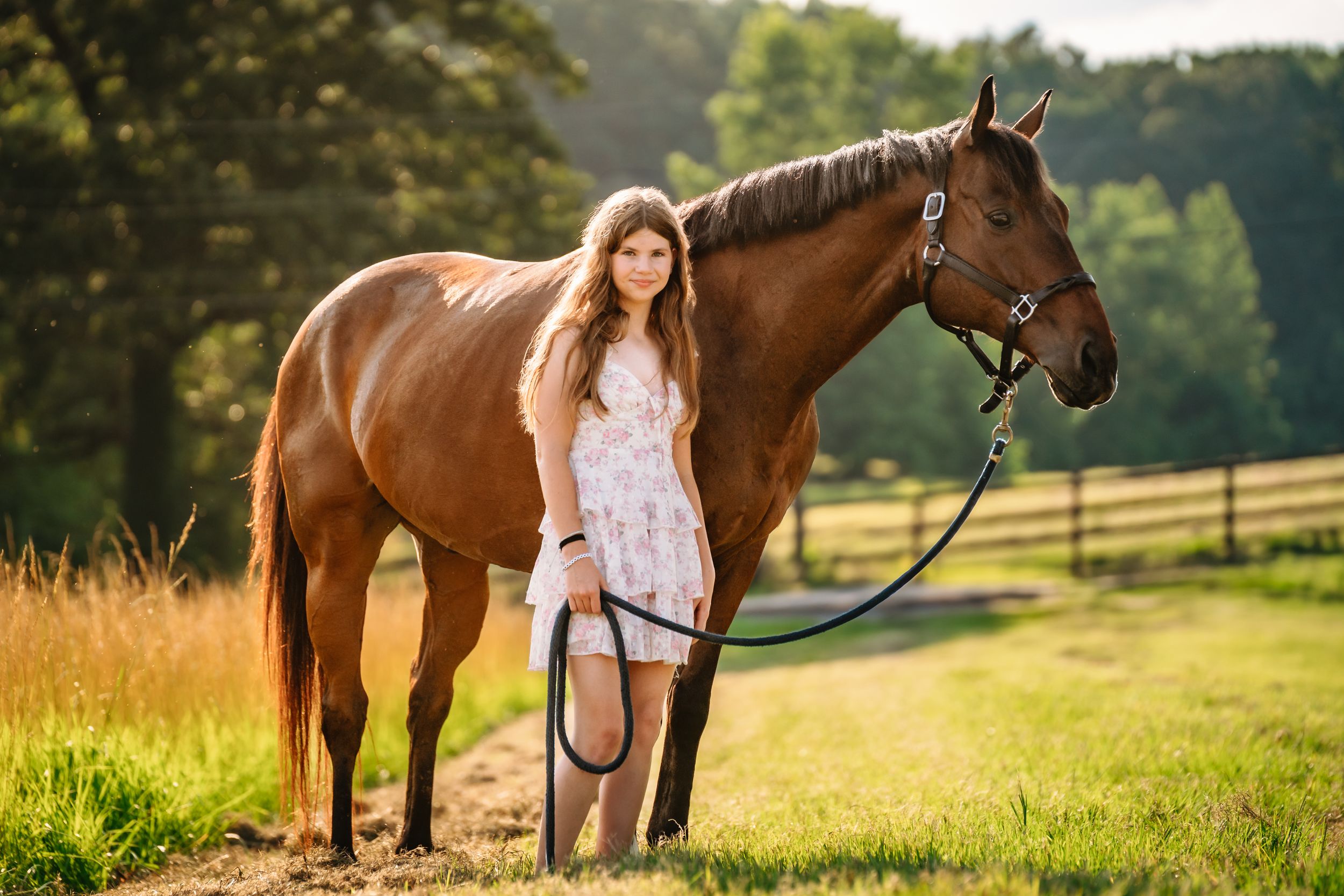 A brown horse stands with its handler in a sunny summer pasture with wooden fencing in the background.