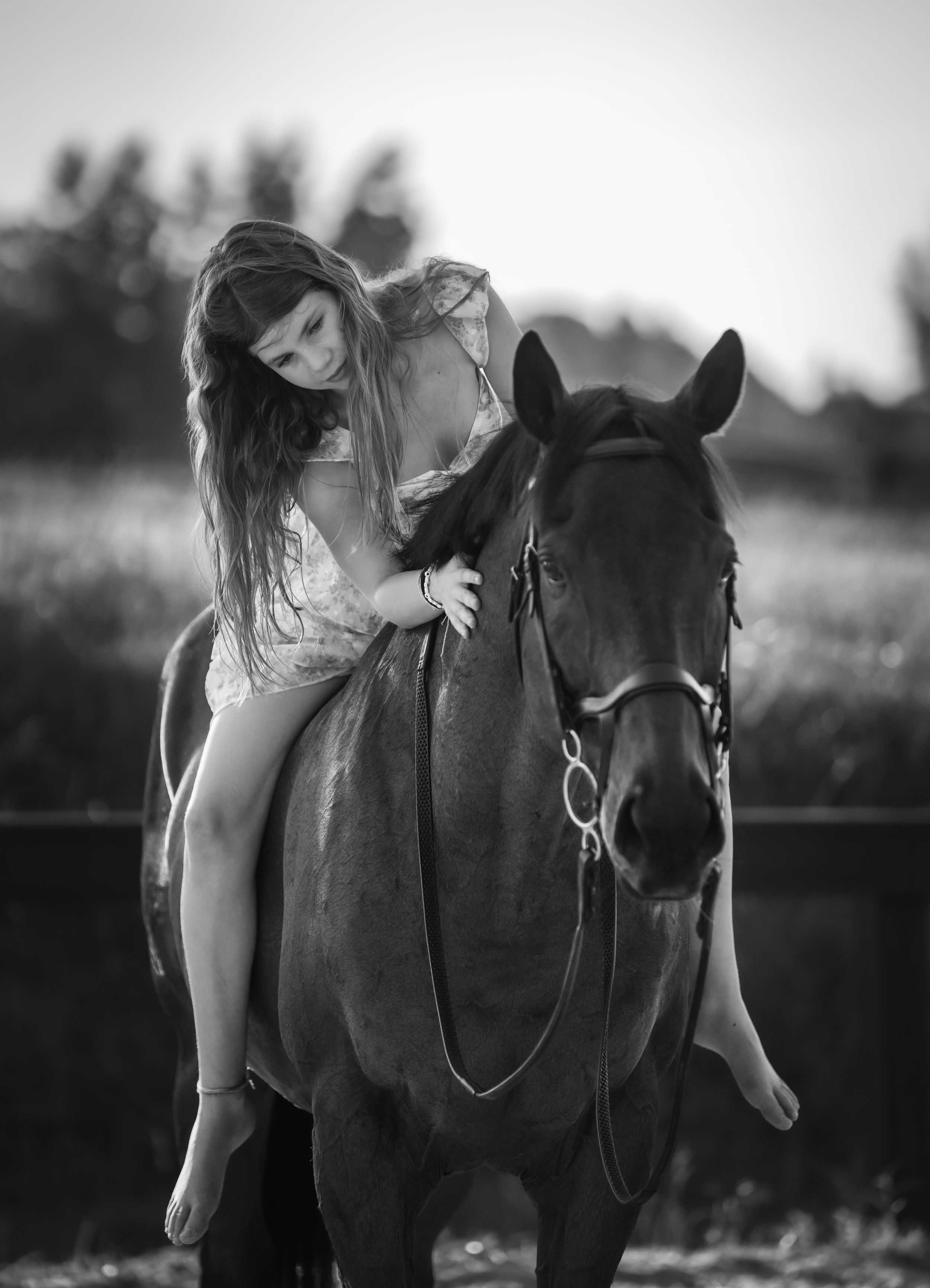 A black and white photo series showing intimate moments between a horse and rider in silhouette against a soft background.