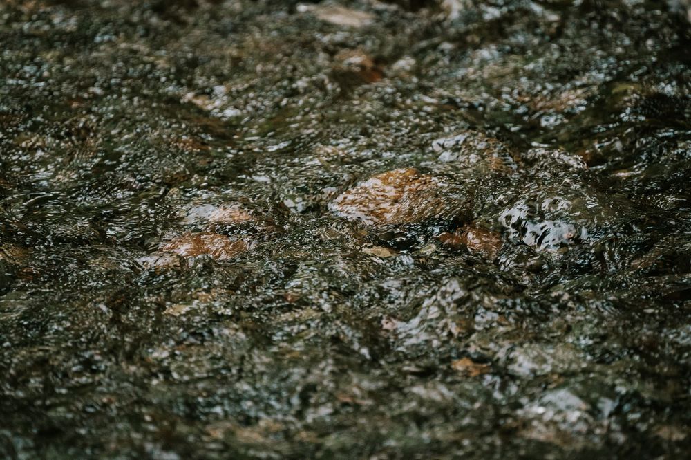 Detail photo of creek ripples in forest Cathedral Groves, MacMillan Park. Vancouver Island adventure photographer