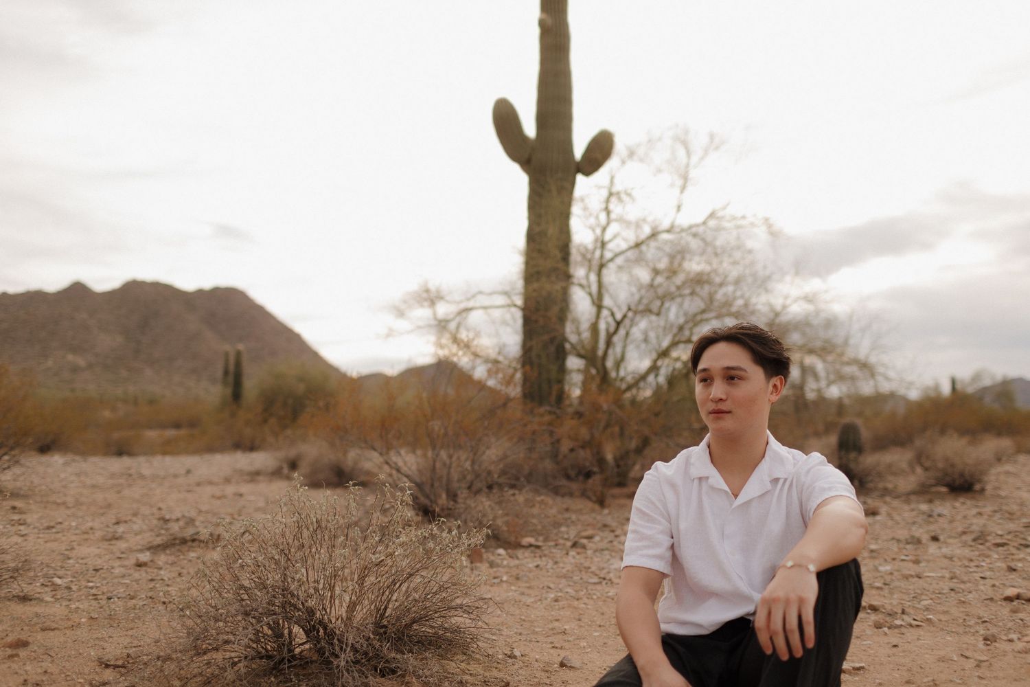 Desert landscape with majestic saguaro cactus and mountain backdrop at sunset.