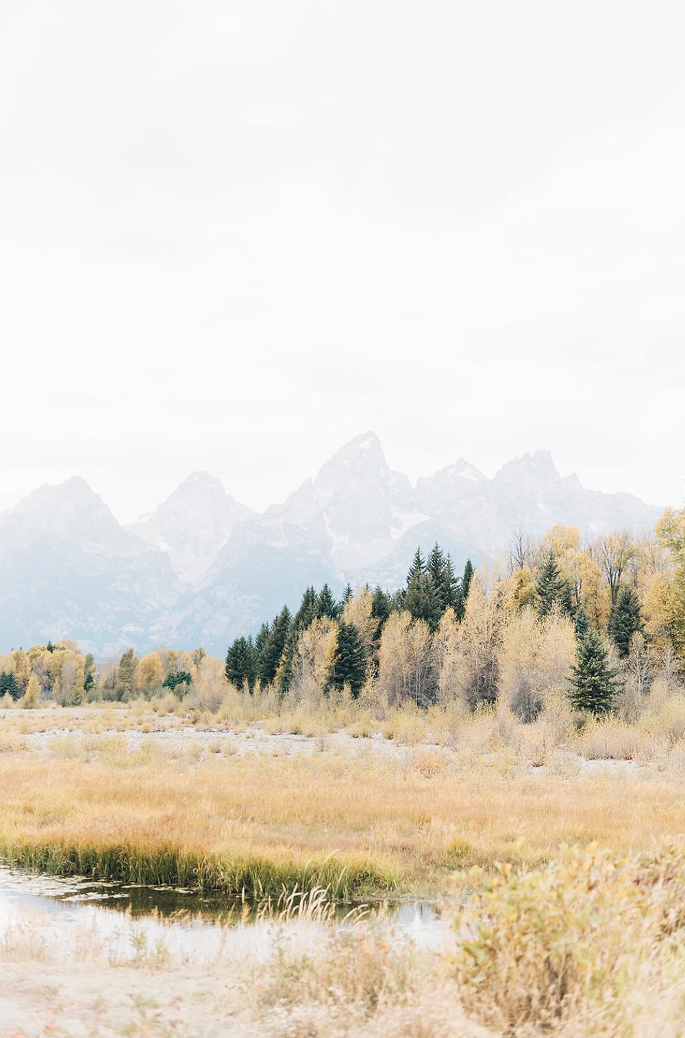 Golden autumn landscape with snow-capped mountain peaks and evergreen trees reflected in tranquil water.