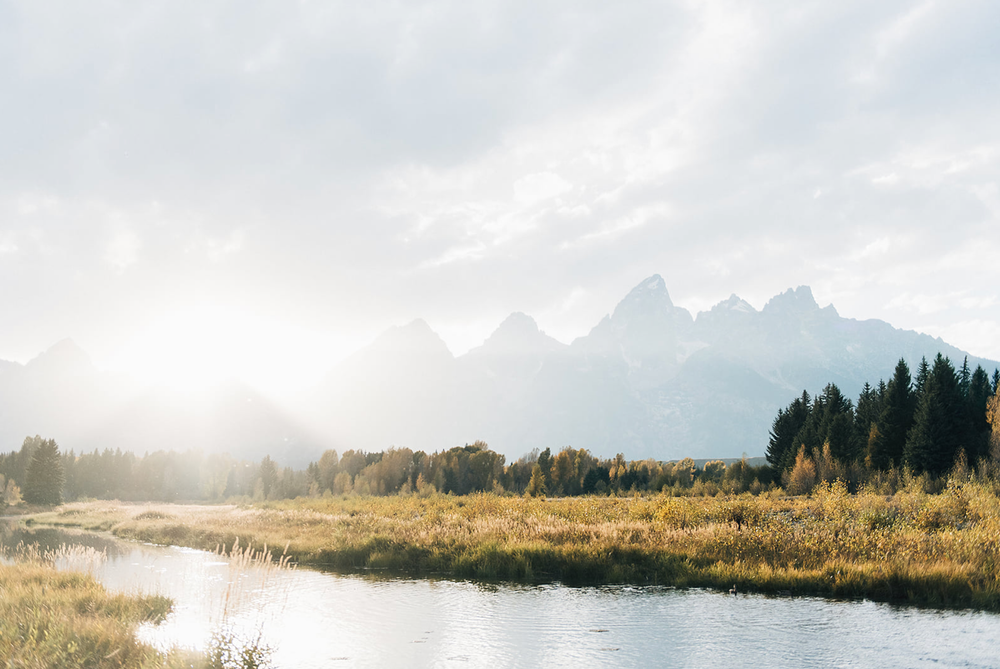 Misty mountain landscape with serene river winding through golden meadow and evergreen forest under cloudy sky.