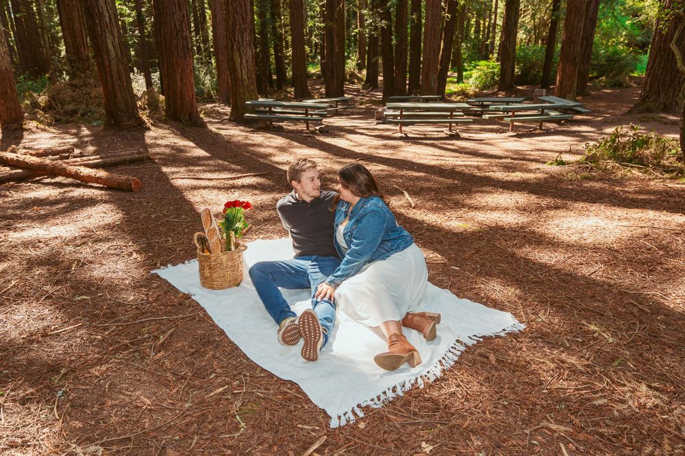 Romantic outdoor picnic setting under tall trees with blanket and basket.