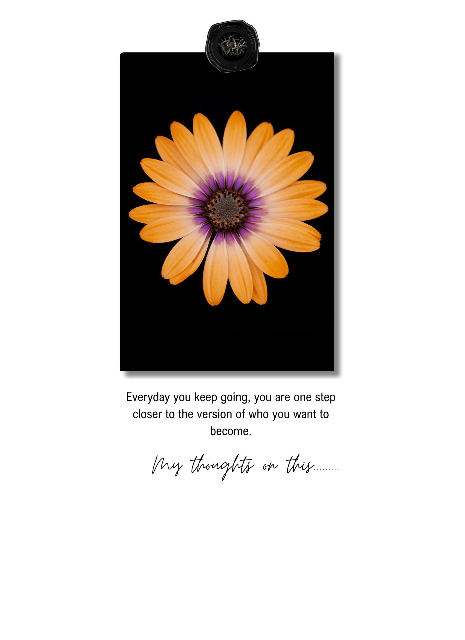 Motivational card featuring an orange and purple daisy flower against a black background with inspirational text below.
