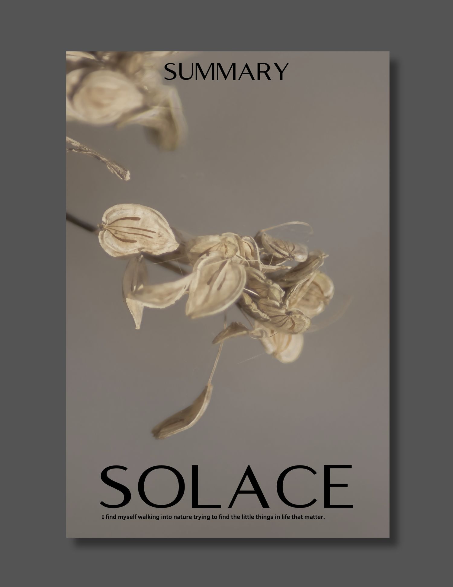 A stylized page header showing the word 'SOLACE' in dark text against a soft beige background with faded floral elements.