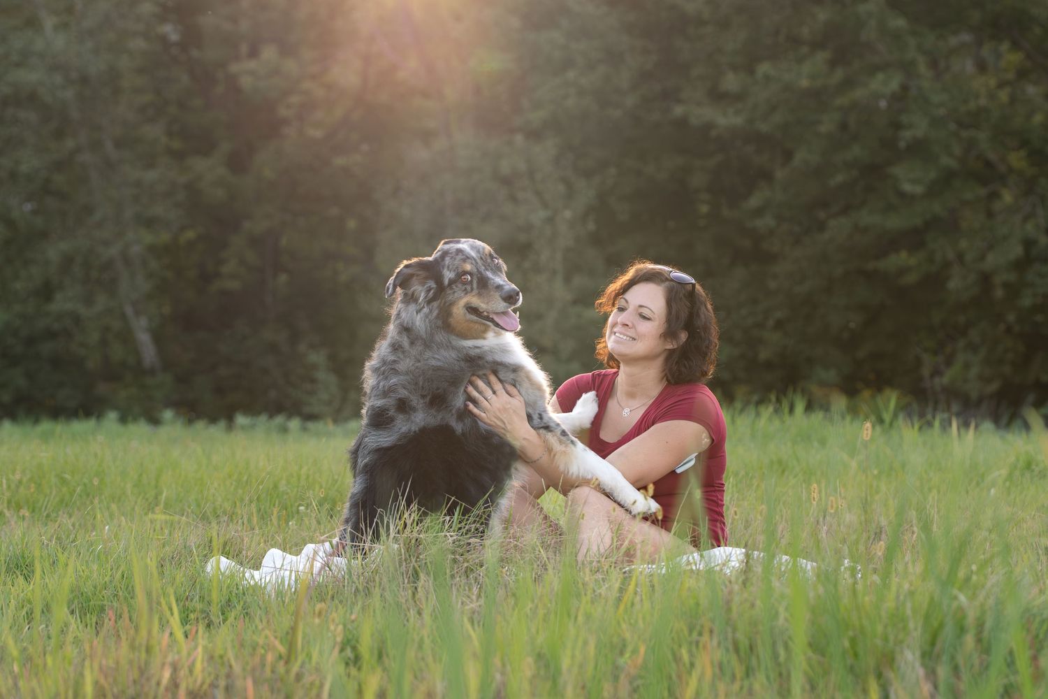 Someone sits with an Australian Shepherd dog in a sunlit meadow during golden hour.