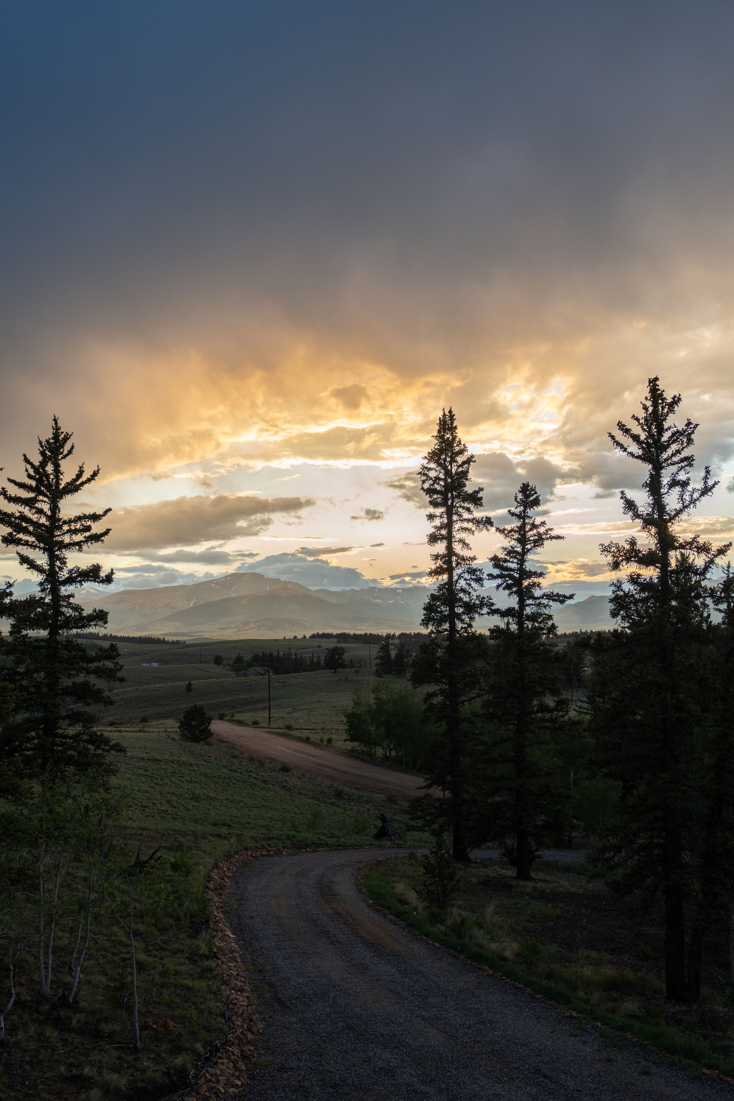 A winding dirt road through pine trees at sunset with dramatic golden clouds in the sky.