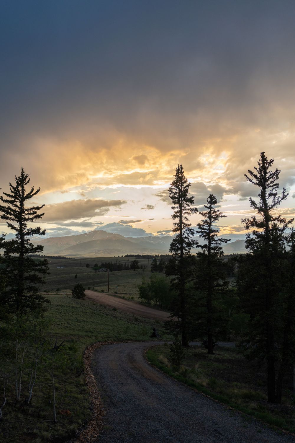 A winding dirt road through pine trees at sunset with dramatic golden clouds in the sky.