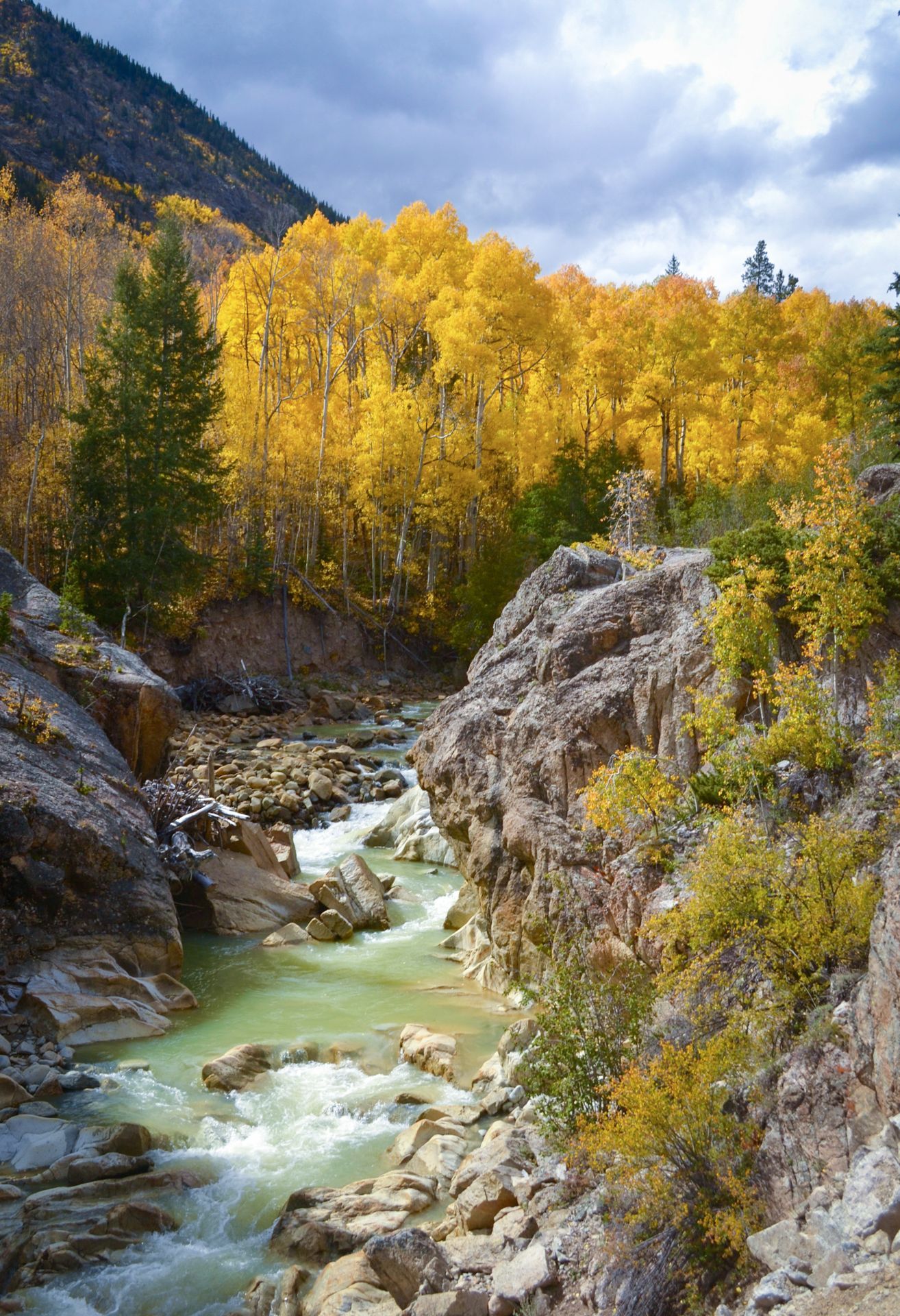 Rushing mountain stream through rocky canyon surrounded by golden autumn aspen trees.