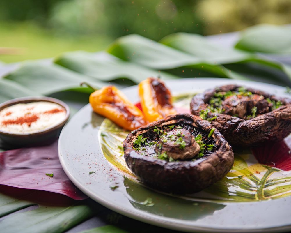 Grilled stuffed mushrooms with herbs and sauce on a white plate with tropical leaf backdrop.