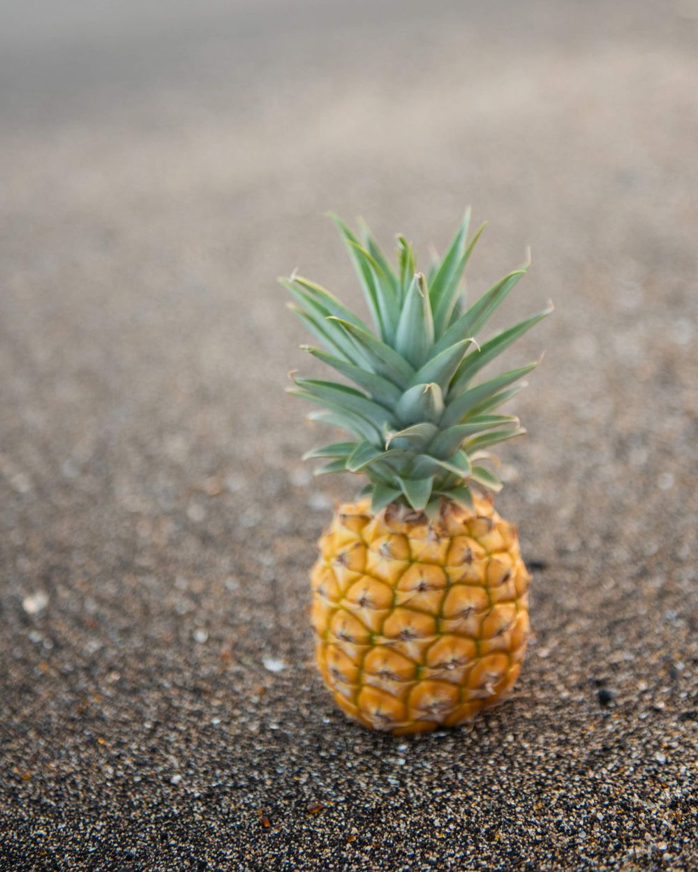 Fresh pineapple on sandy beach background with shallow depth of field.