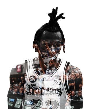 Dzanski Visuals Graphic