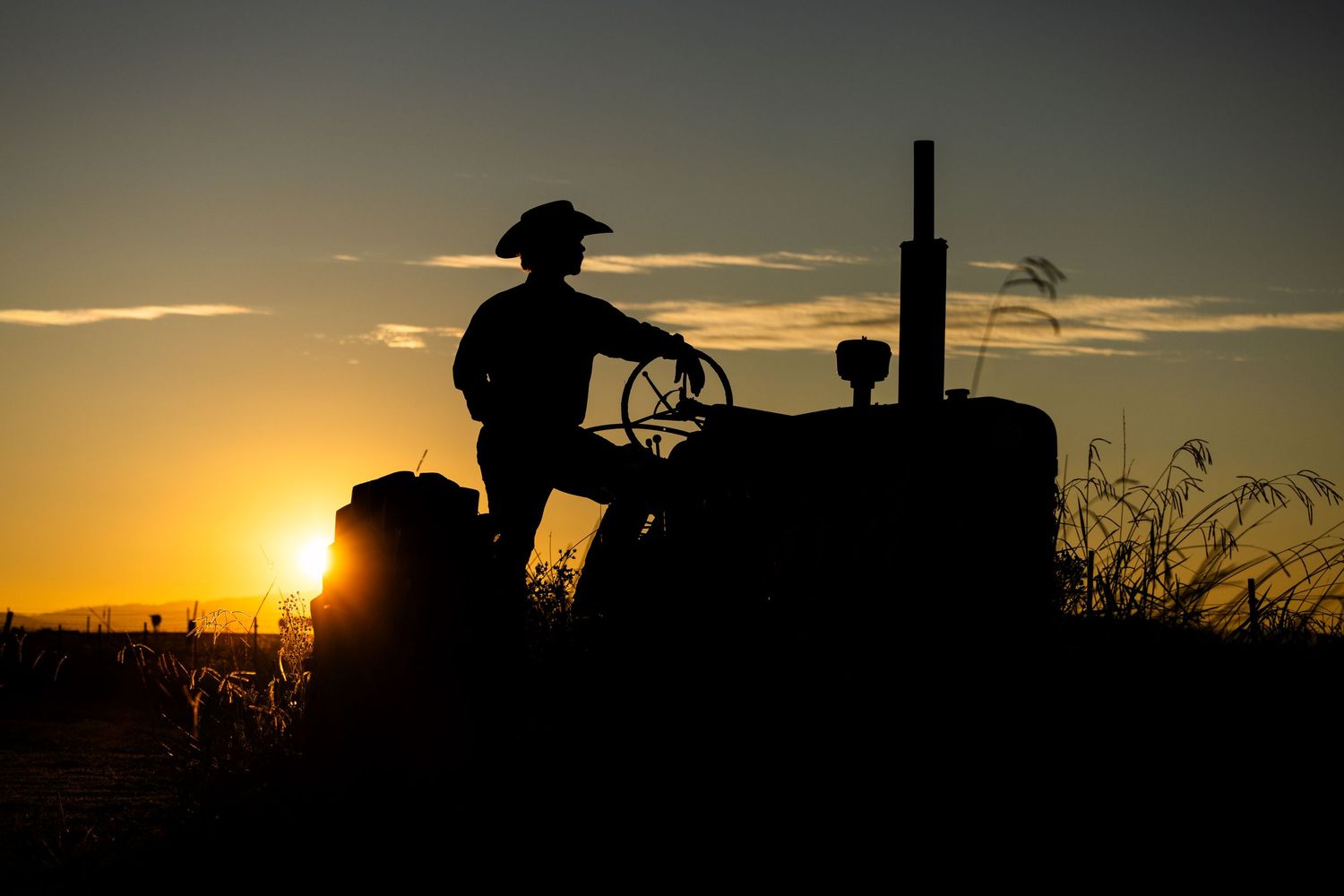 Cowboy with tractor silhouette sunset