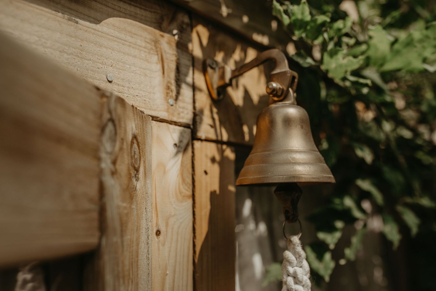 Rustic wooden wall with mounted vintage-style bell lamp fixture illuminated by warm sunlight through green foliage.