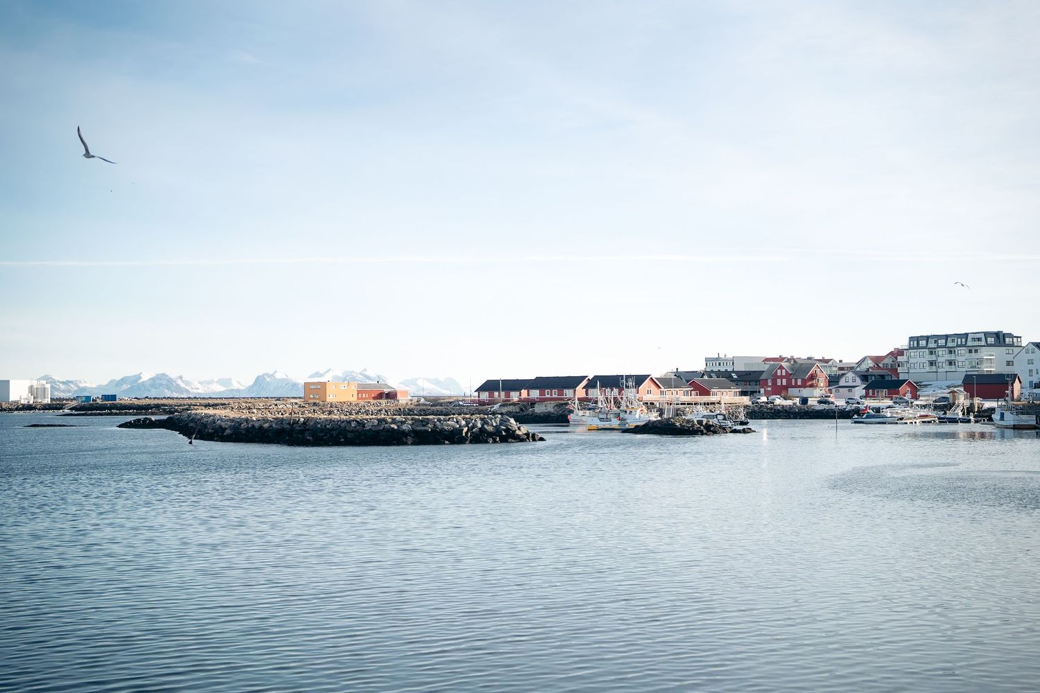 port d'andenes dans les lofoten