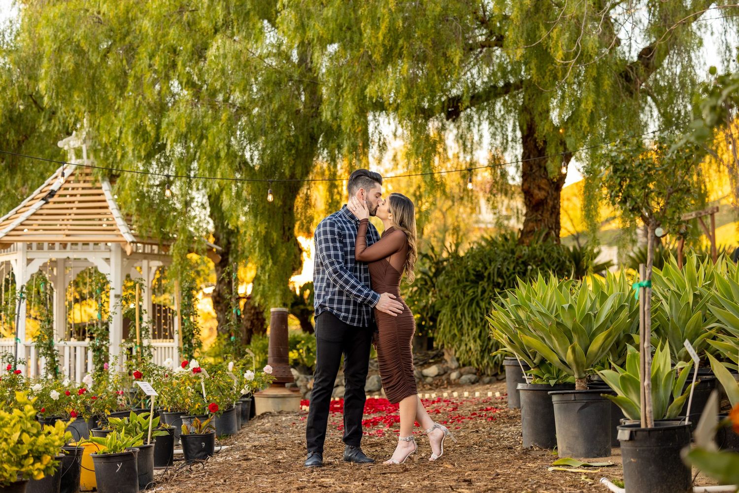 Couple sharing a romantic moment in a scenic garden path lined with drooping willow trees and a gazebo.