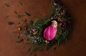 Newborn Session