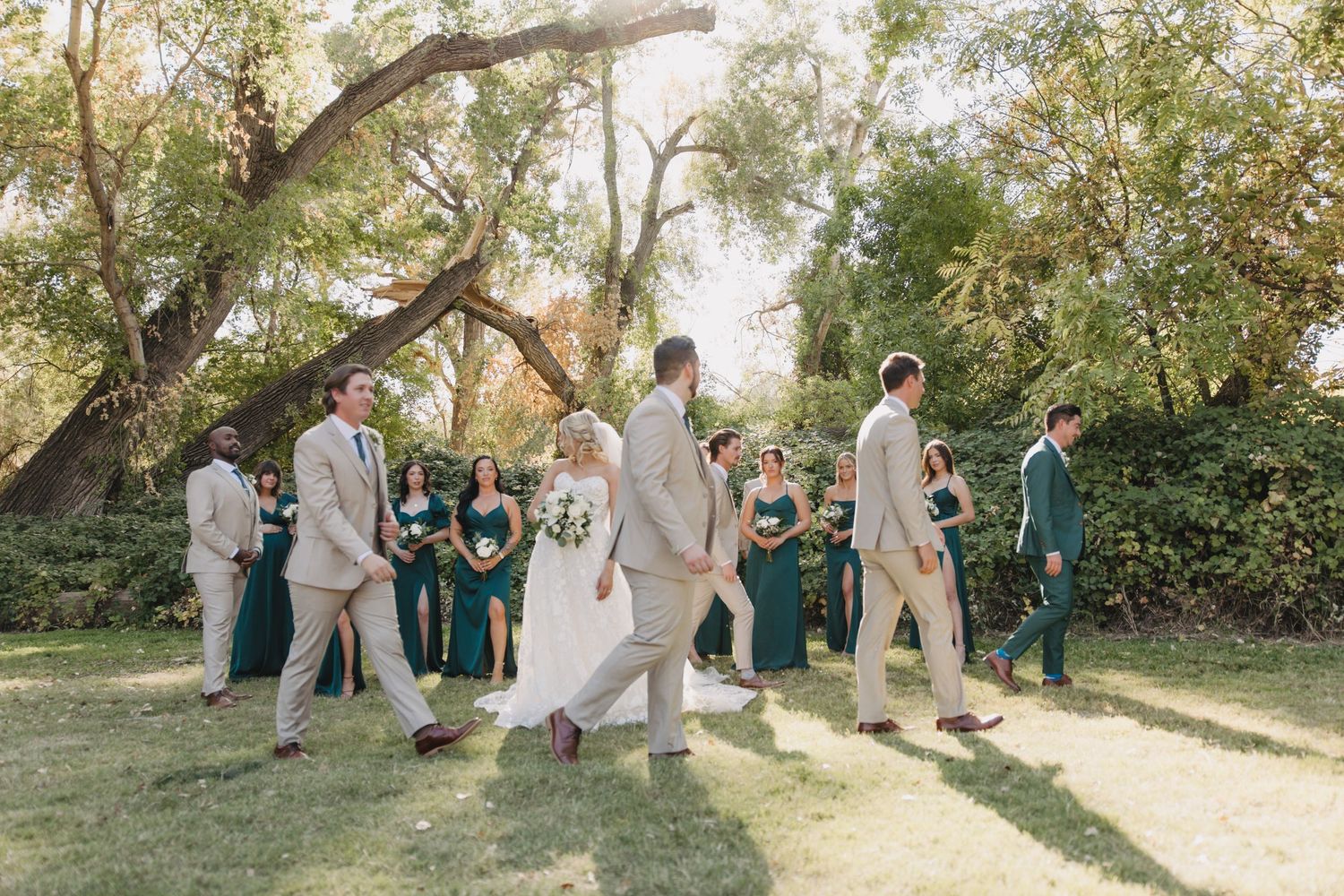 Wedding party gathers for casual group photos under shady trees in a park setting during an outdoor celebration.