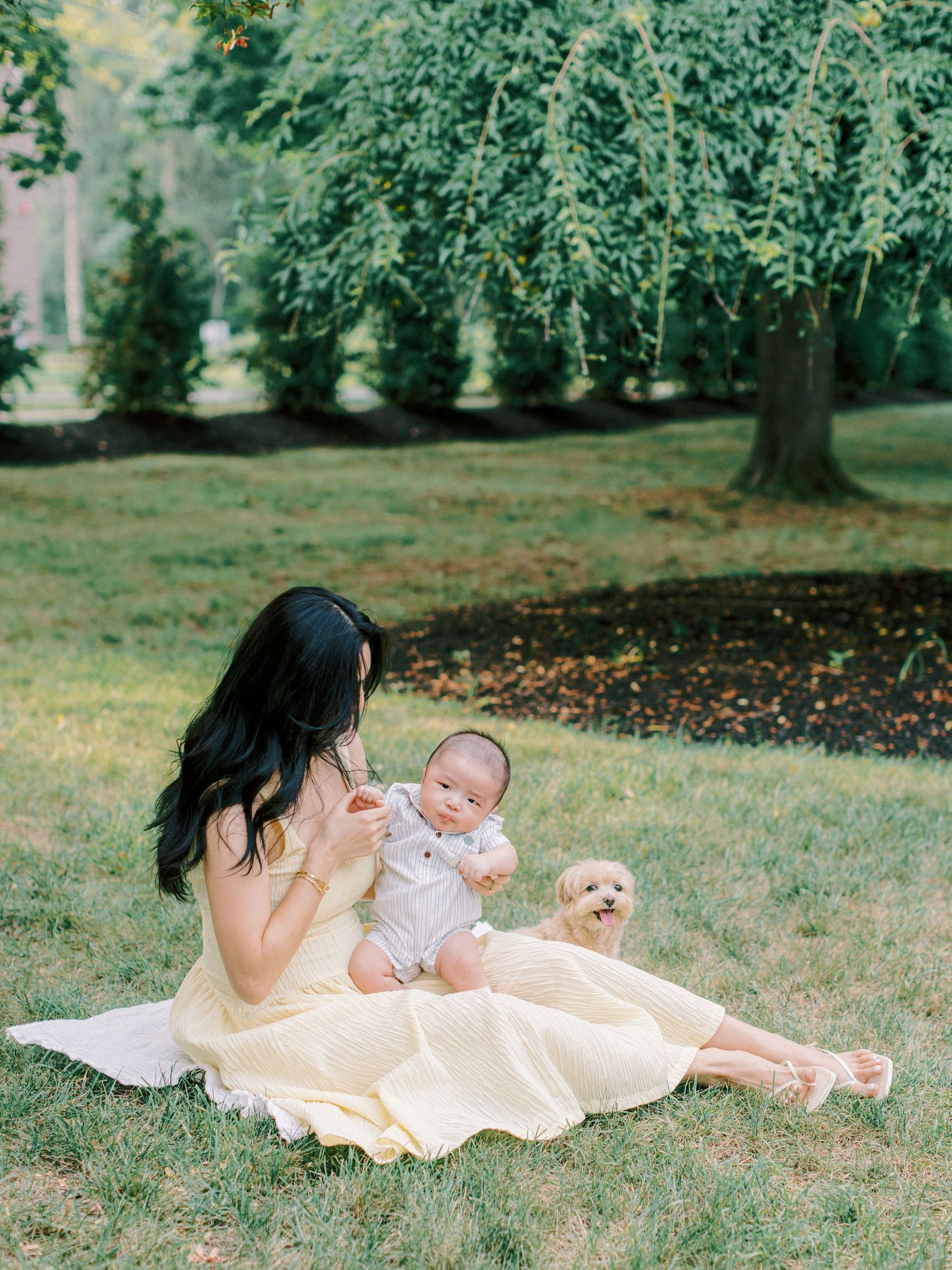 Jeanie Jang Photo New Jersey Photographer Family Session at Home