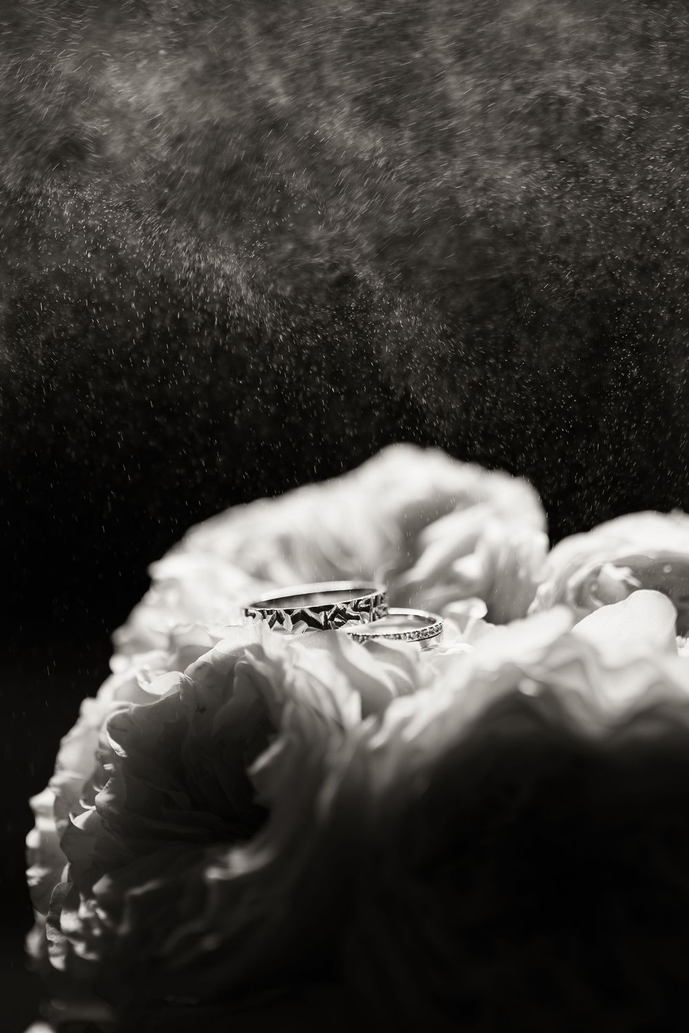 A beautiful black and white image of a butterfly resting on delicate white flower petals with dark background.