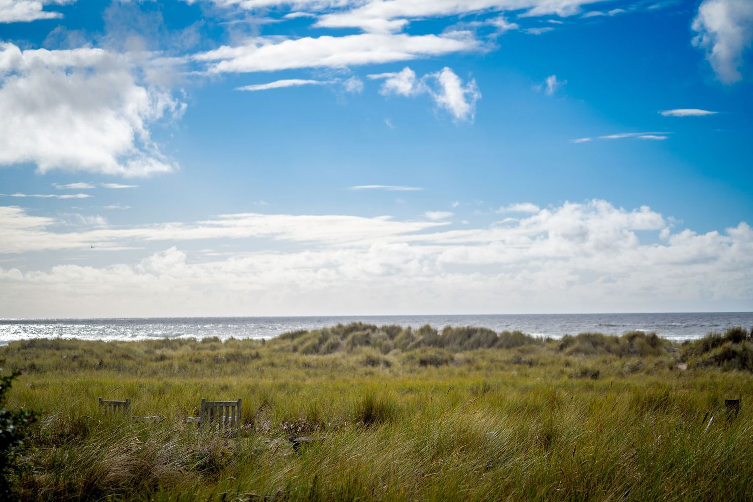 A panoramic vista of coastal sand dunes with natural beach grass under a bright blue sky with scattered clouds. Manzanita, OR