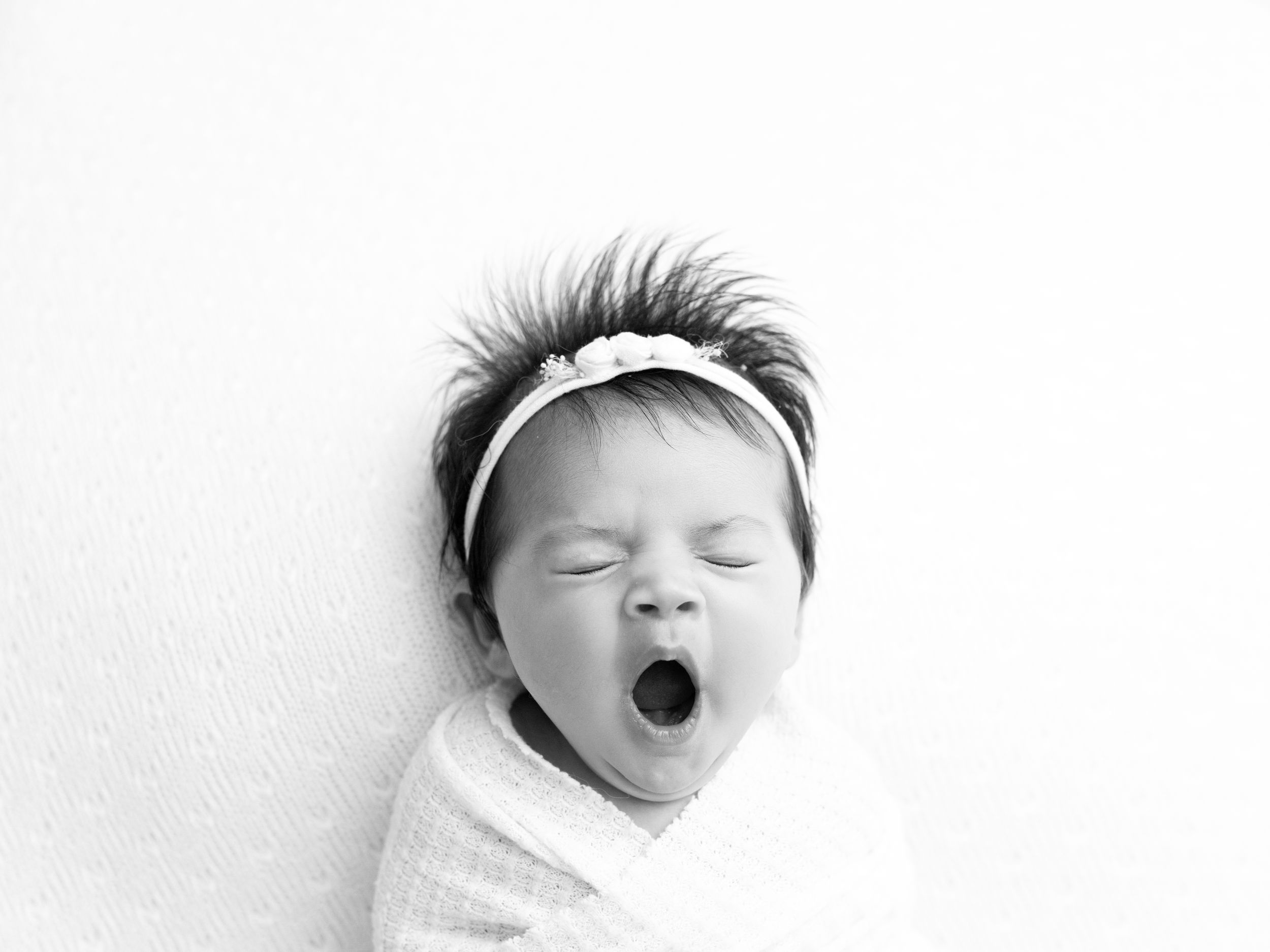 Three sleeping babies displayed in a horizontal row against a white background.
