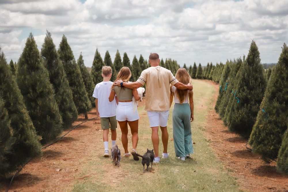 Family and pet dogs enjoying a candid photoshoot in Kingaroy, laughing and playing together in nature