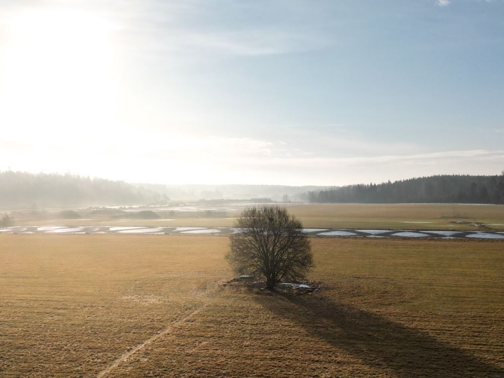 Drönarfoto. naturbild drönare. Drönarfotograf. Fotograf i Stockholm. Photo By anna jarlhäll. dji mini pro 3. natur