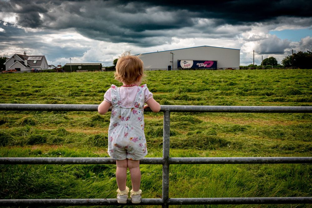 eleanor barry photography newborn family wedding waterford munster on the farm