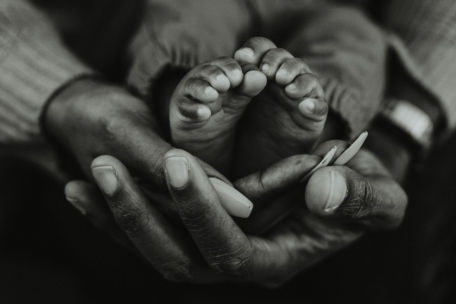 Black and white close-up image of hands holding and examining a dental mold of teeth.