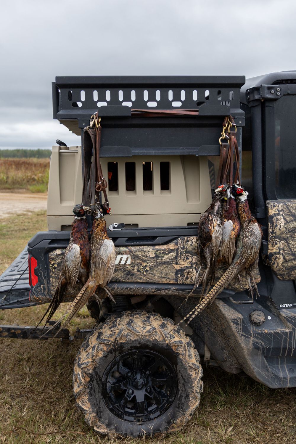 Commercial: Mossy Pond, Pheasant Hunt