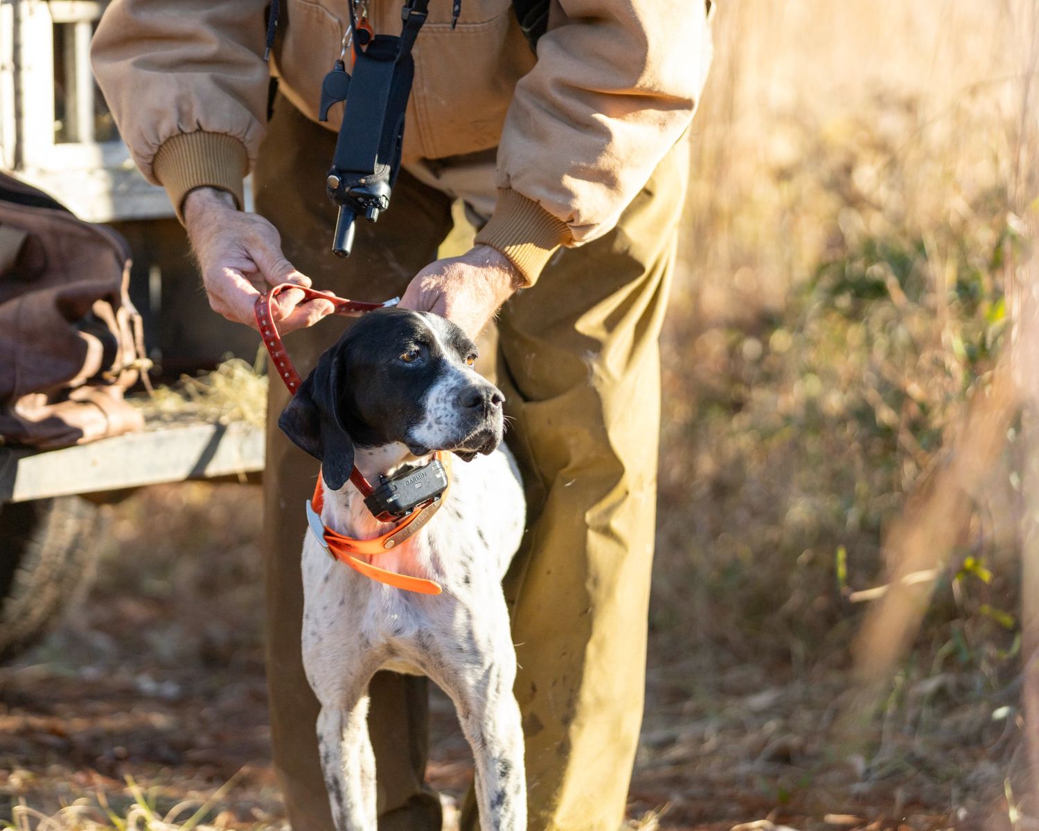 Commercial: Rio Piedra, Quail Hunt