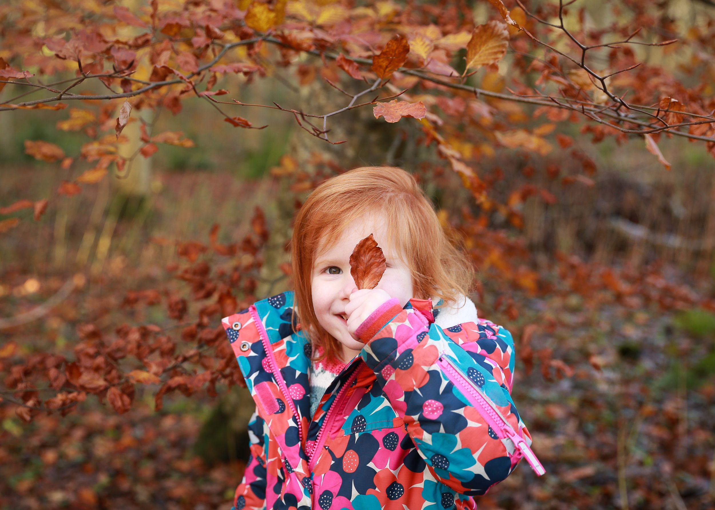 A joyful little girl with vibrant red hair exploring the peaceful woods, her playful spirit and connection with nature at photo session