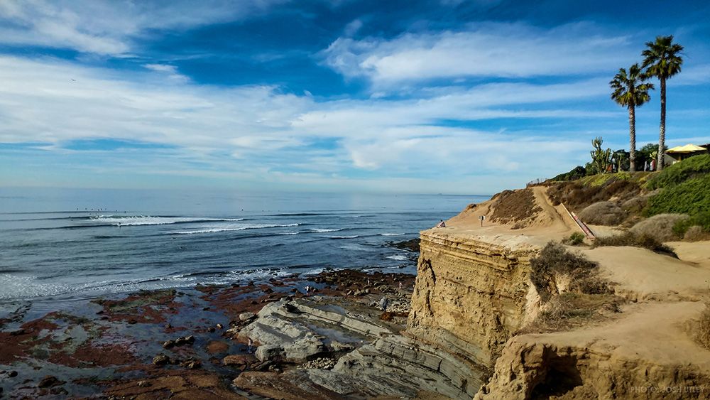 Scenic coastal cliffs with palm trees overlooking the Pacific Ocean near San Diego on a sunny day with blue skies.