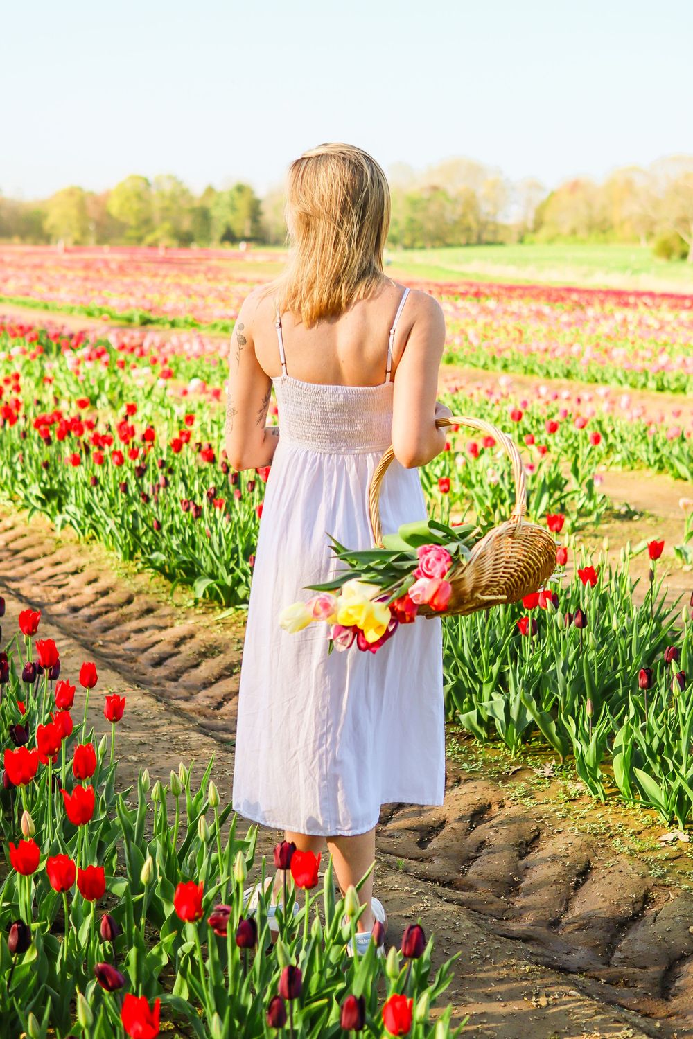 A girl standing in a flower field and holding a basket of tulips while facing away from the camera.