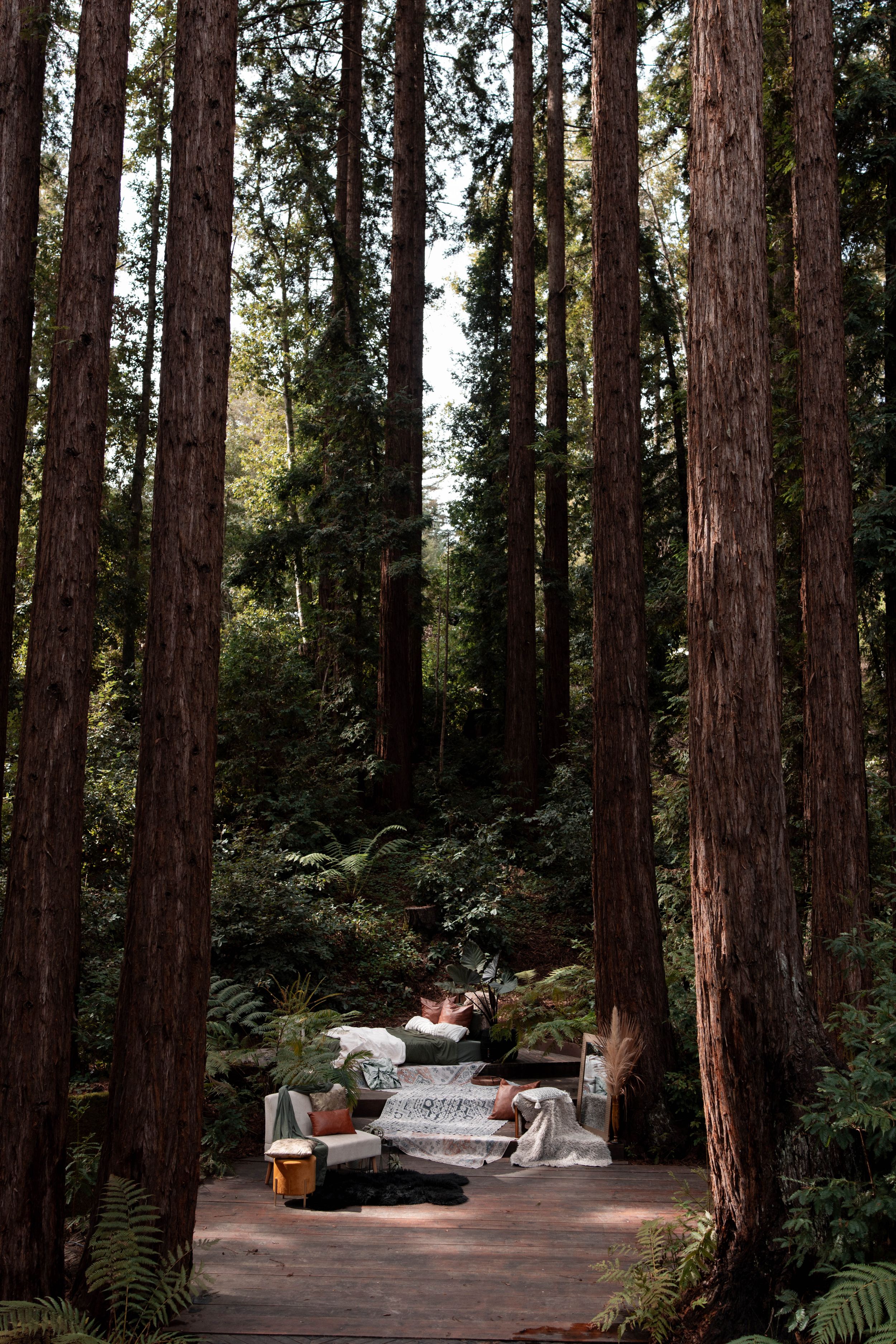 sparrow valley retreat santa cruz mountains redwood boudoir steamy sauna mini sessions wedding boudoir photographer jelau photography