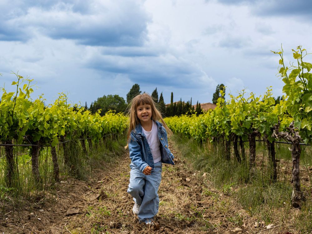 Portrait d’enfant dans les vignes lors d’une séance photo famille en Provence